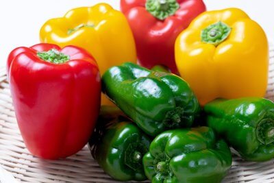 酷暑に打ち勝つには！ | スタッフブログ