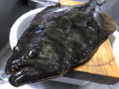 釣果次第で🎣 | スタッフブログ