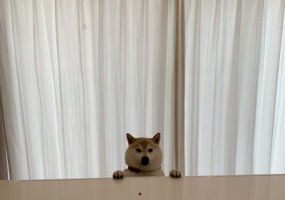 アイランドキッチン | スタッフブログ